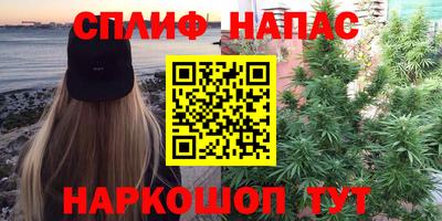 трава Дубна