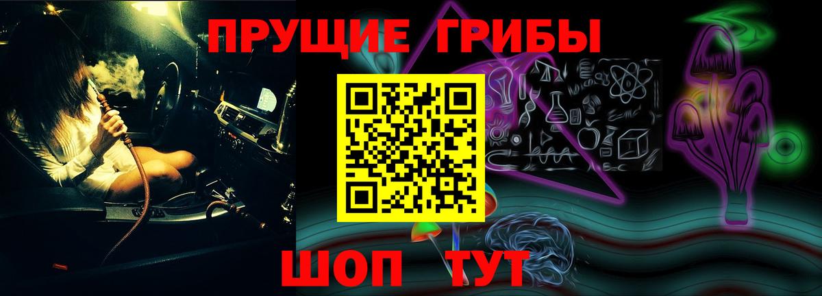 Псилоцибиновые грибы GOLDEN TEACHER  Вход с VPN  Малгобек 